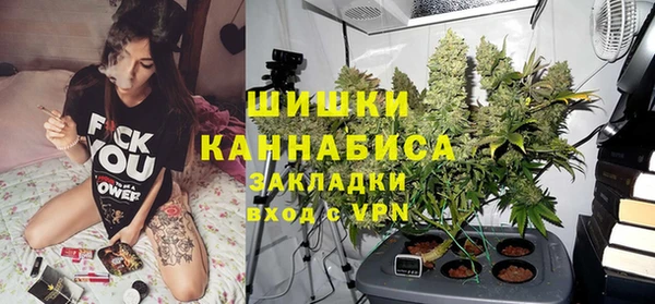 амф Бронницы