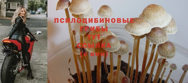 амф Бронницы