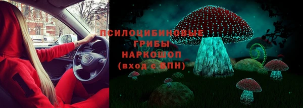 амф Бронницы
