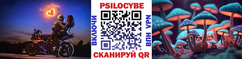 как найти закладки  Дальнегорск  Псилоцибиновые грибы Psilocybine cubensis 