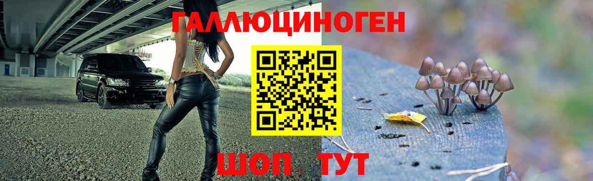 Псилоцибиновые грибы мухоморы  Вход с VPN  Дальнегорск 